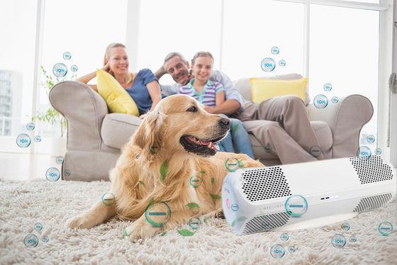 เครื่องฆ่าเชื้ออากาศ ABS พร้อมหมอกส่วนตัวฆ่าไวรัสหวัดหวัด H1N1 แบคทีเรีย เห็ด OEM/ODM