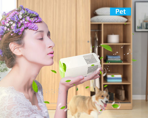 เครื่องล้างอากาศห้องน้ําห้องครัวขนาดเล็ก ที่เหมาะสมสําหรับการกําจัดสารสกัดภูมิแพ้ สีฝุ่นและกลิ่น