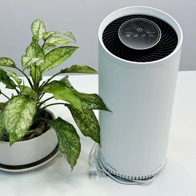 เครื่องทําความสะอาดอากาศแบบพลาสมาเย็น HEPA พร้อมกรองคาร์บอนที่ทํางาน 36W พลังงานสูงสุด 220V โวลเตจ