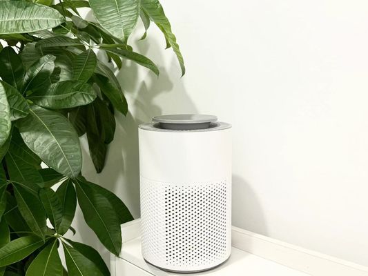 เครื่องทําความสะอาดอากาศอุตสาหกรรม HC10 แบบคอมแพคต์ พร้อมเครื่องกรอง HEPA และเครื่องกําหนดเวลา 4 ชั่วโมงเพื่อกําจัดกลิ่น