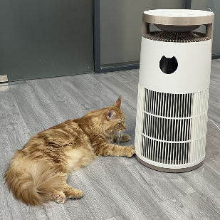 VDETTE HP01 โอโซน HEPA เครื่องทําความสะอาดอากาศพร้อมเวลา 220V ขาว